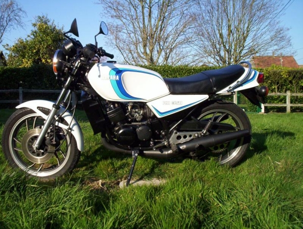 gallery_182_1_540107