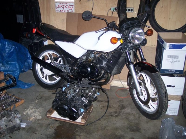 gallery_296_1_376413