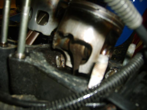 gallery_351_2_115535