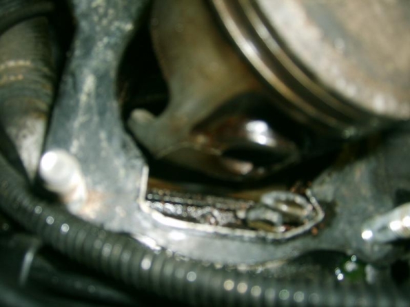 gallery_351_2_226733