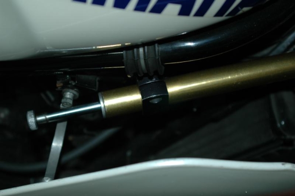 gallery_408_5_269819