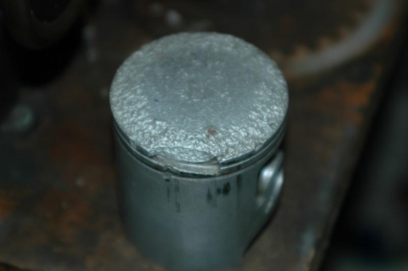 gallery_408_5_337029