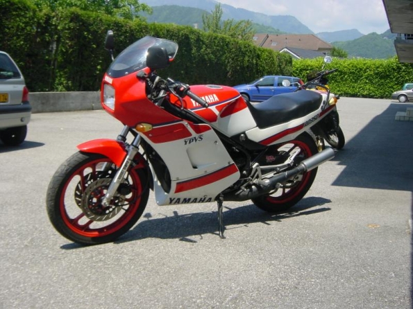 gallery_721_14_598397