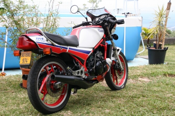 gallery_123_21_21536