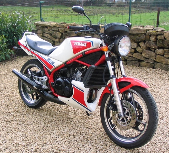 gallery_1585_28_30486