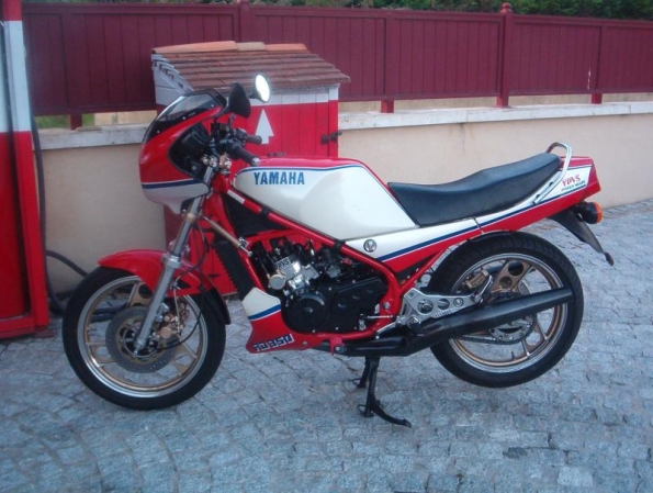 gallery_554_1_718585