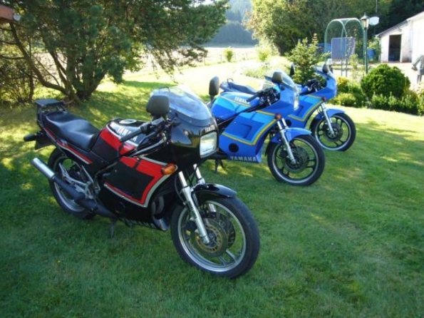 med_gallery_59_1_446385