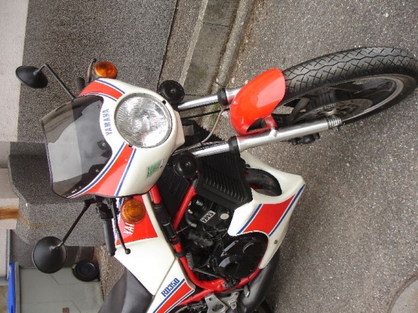 gallery_2152_33_108249