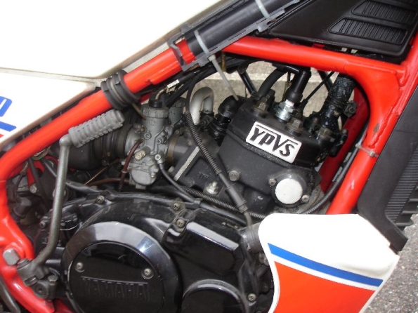 gallery_2152_33_40384