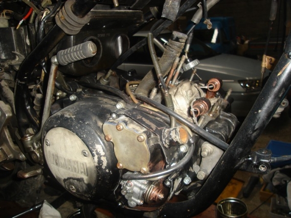 gallery_2206_34_97464