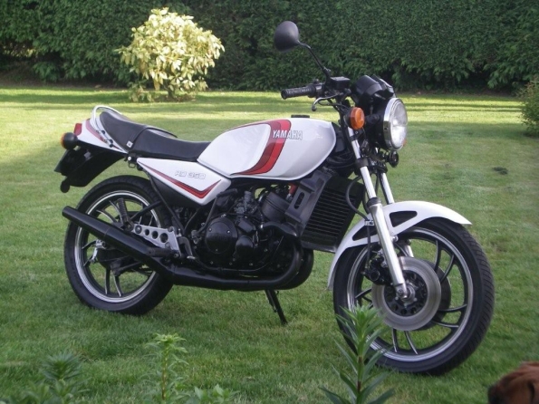 gallery_2650_1_15450