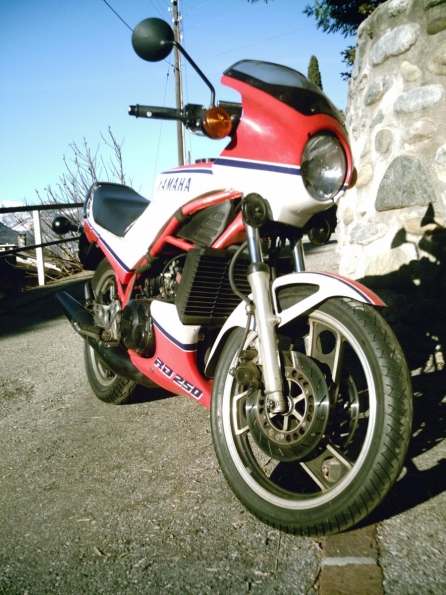 gallery_321_47_297439