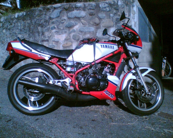 gallery_321_47_299362