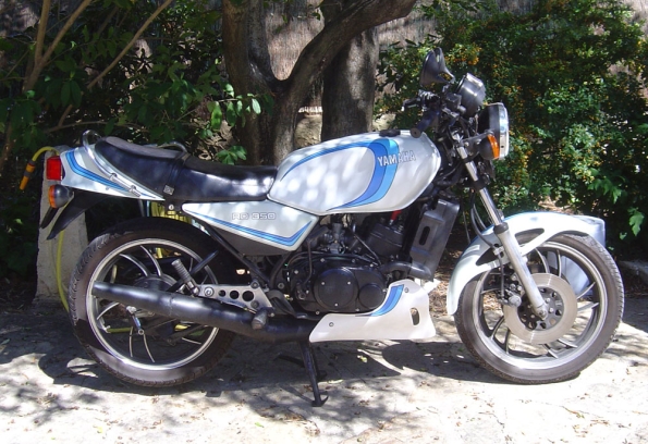 gallery_4315_57_19446