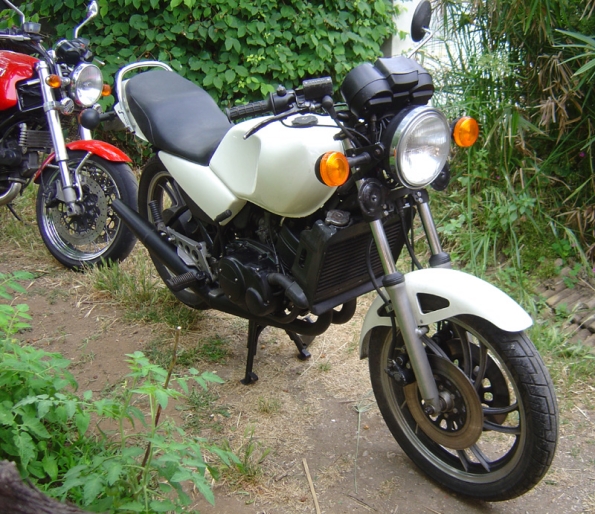 gallery_4315_57_281293