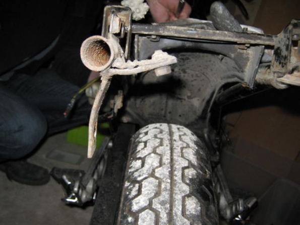 med_gallery_3963_51_130672