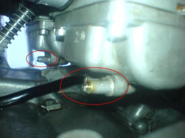 med_gallery_4143_52_161471