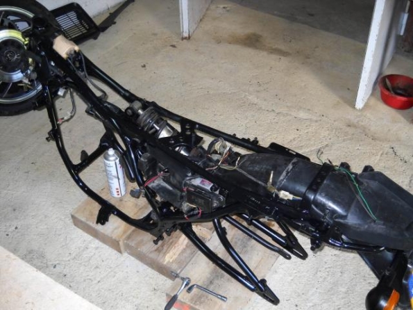 med_gallery_4302_53_478605