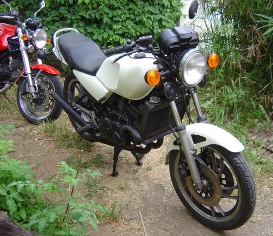 med_gallery_4315_57_281293