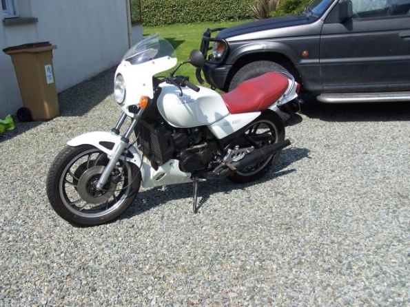 med_gallery_4347_56_1088356