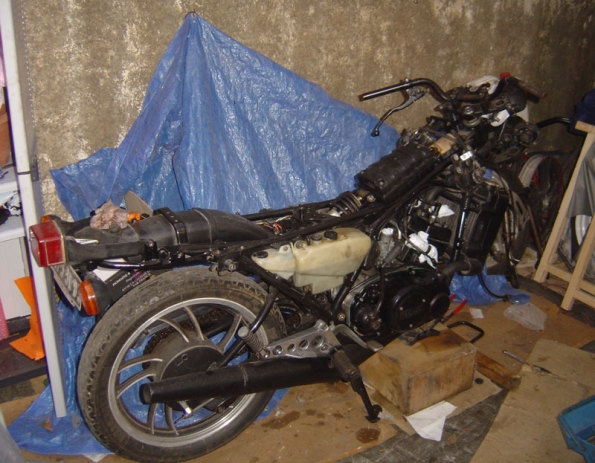 gallery_4315_57_79297