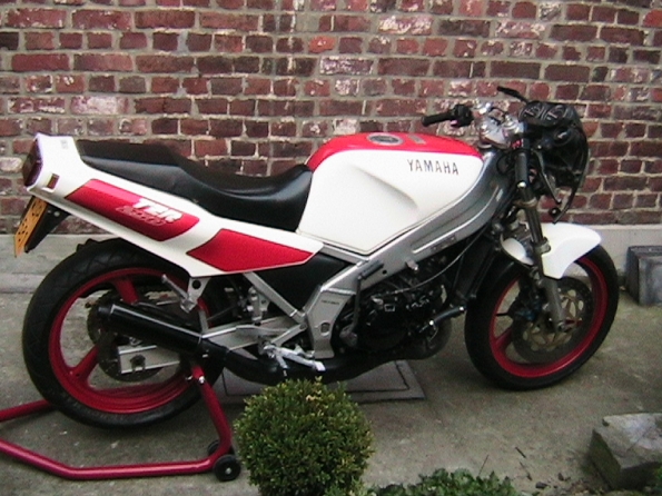 gallery_85_59_270990