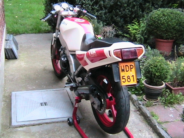 gallery_85_59_274807